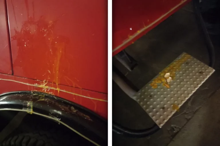 Feuerwehrwagen mit Eiern beworfen