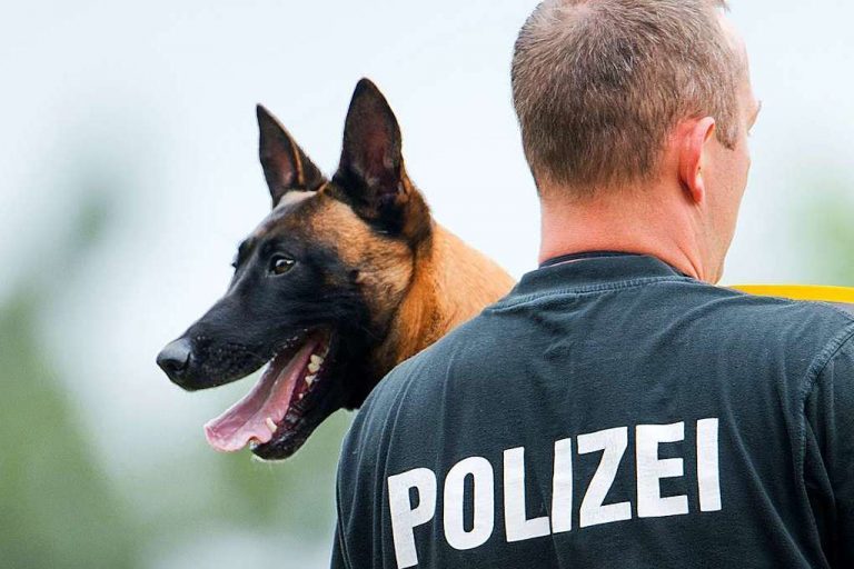 Einbruchsalarm an Realschule  Tatverdächtiger gestellt