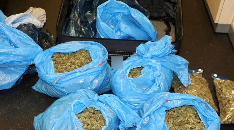Koffer voll mit Marihuana – Mutmaßlicher Drogendealer in U-Haft