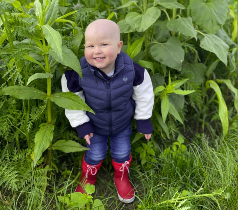 der kleine Hannes