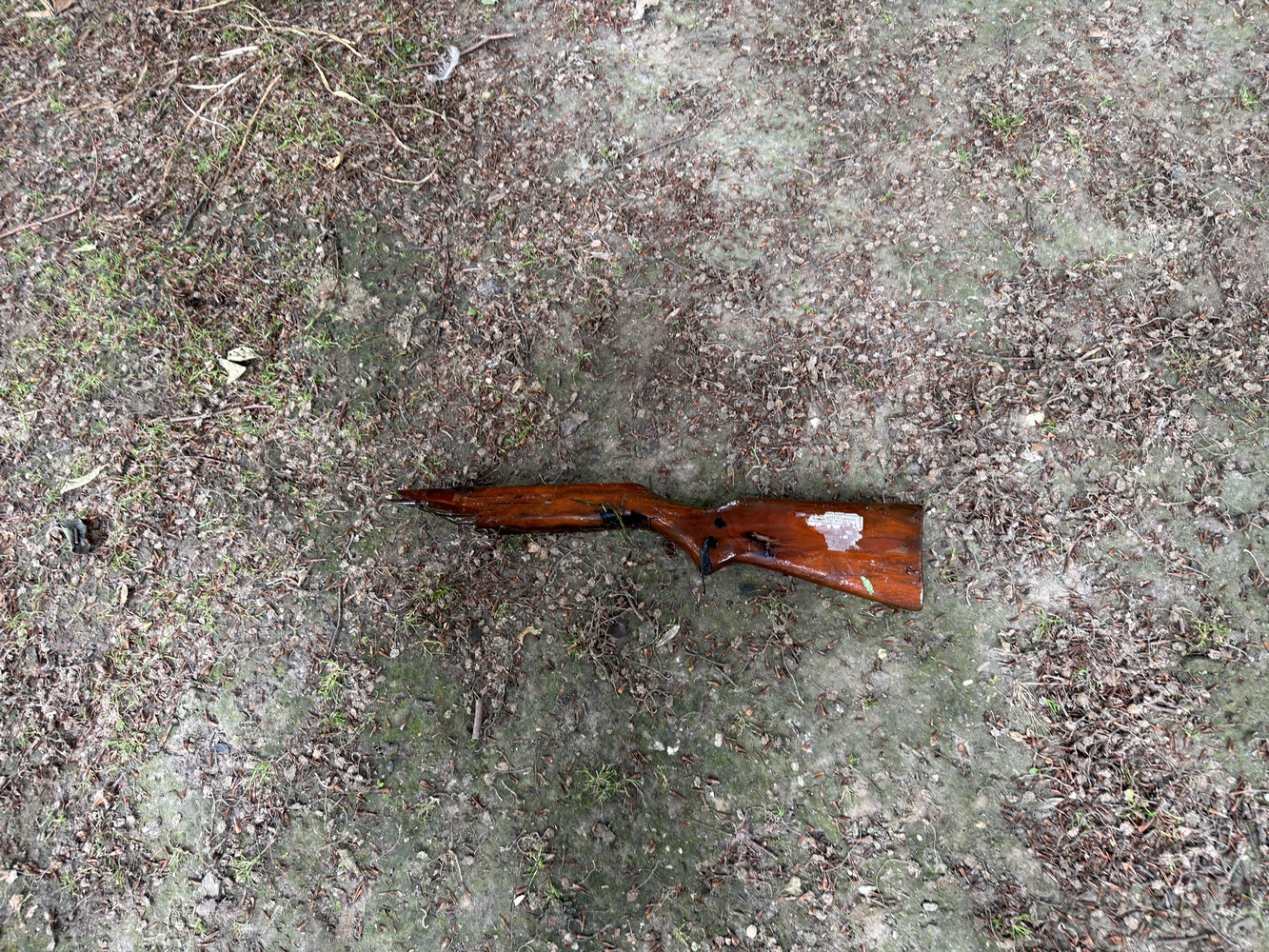 Feuerwehr und Polizei am Weiher im Schmölderpark nach Gewehr-Fund3