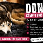 Donna_Titelbild_Spendenaufruf_Moenchengladbach