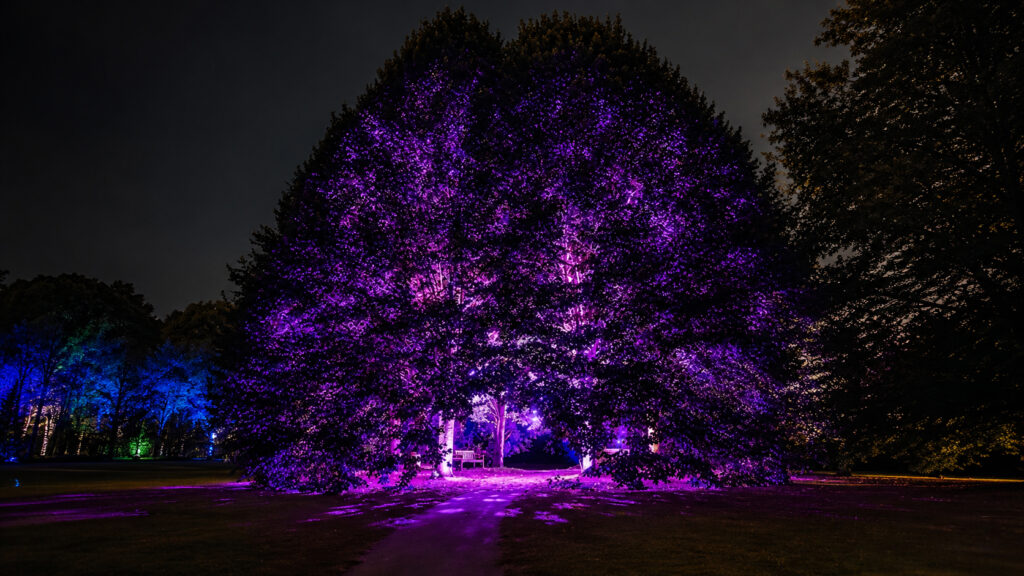 lichtfestival-schloss-dyck-2026-juechen