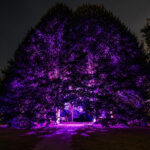 lichtfestival-schloss-dyck-2026-juechen