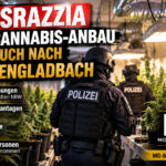 titelbild-cannabis-razzia-moenchengladbach